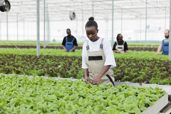 Quelles méthodes naturelles sont efficaces pour traiter les allergies cutanées chez les chiens ?